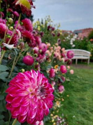 Rabata z daliami i białą ławką